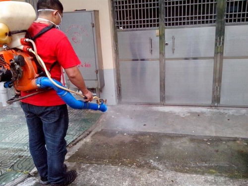 郑州加强进口食品消毒检测服务 筑牢食品安全防线，守护市民健康